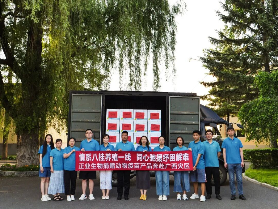 新建位图图像 (2).bmp